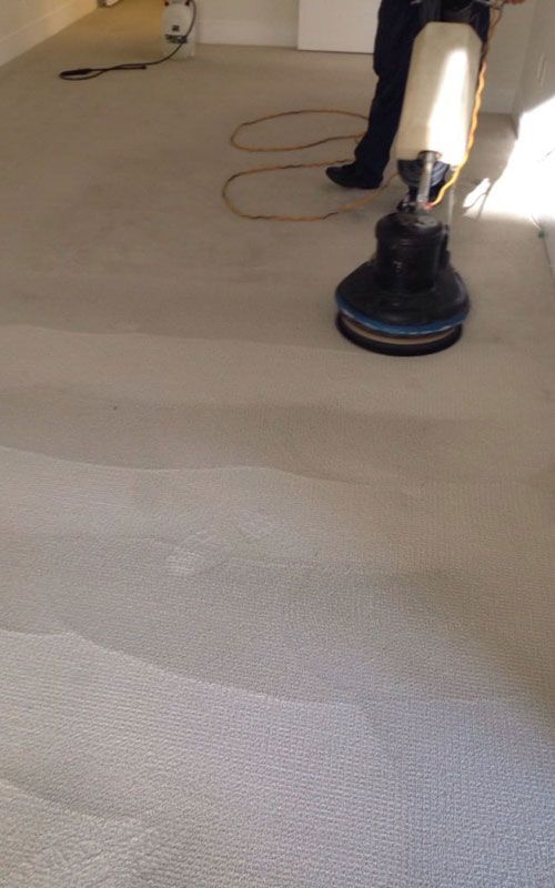 professionall carpet cleaning